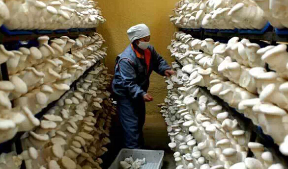 圖片關鍵詞 圖片關鍵詞