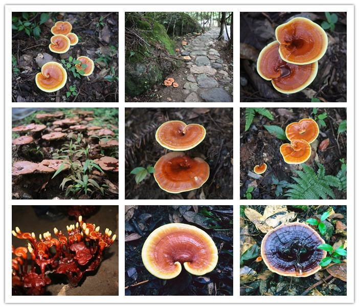 圖片關(guān)鍵詞 圖片關(guān)鍵詞