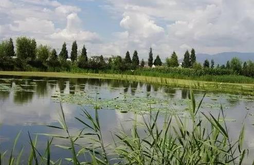 圖片關鍵詞 圖片關鍵詞