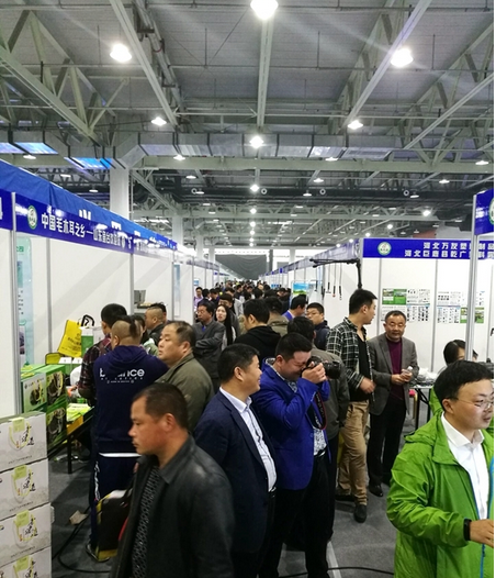 圖片關鍵詞 QQ截圖20170410090053