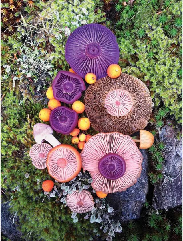 圖片關(guān)鍵詞 圖片關(guān)鍵詞