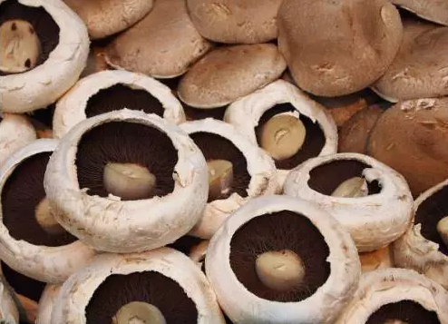 圖片關鍵詞 http://www.glass1234.com/ewebeditor/uploadfile/20170914091257506001.png