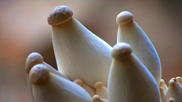 圖片關鍵詞 http://www.glass1234.com/ewebeditor/uploadfile/20170914091357269001.png