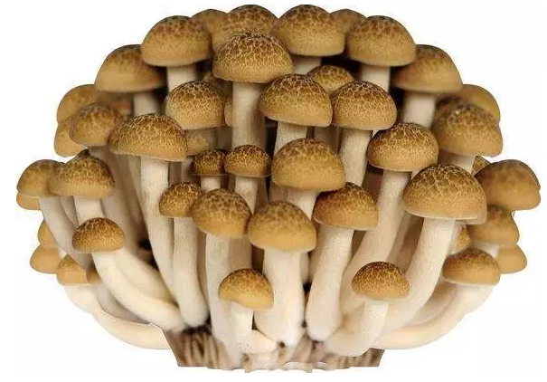 圖片關鍵詞 http://www.glass1234.com/ewebeditor/uploadfile/20170914091421667001.png