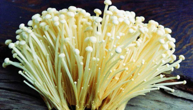 圖片關(guān)鍵詞 圖片關(guān)鍵詞