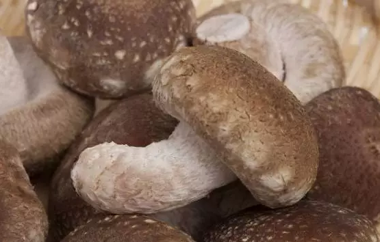 圖片關(guān)鍵詞 圖片關(guān)鍵詞