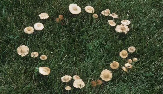 圖片關鍵詞 圖片關鍵詞