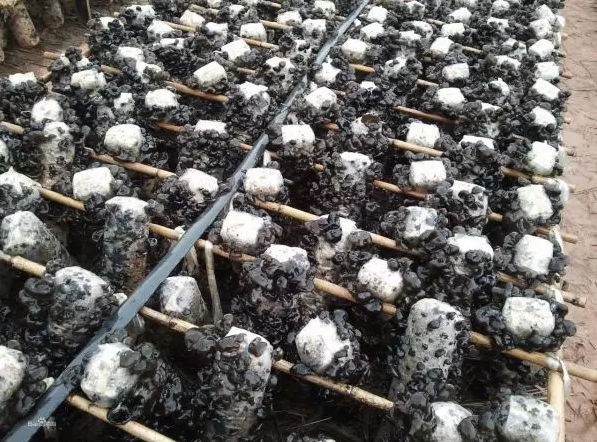 圖片關鍵詞 圖片關鍵詞