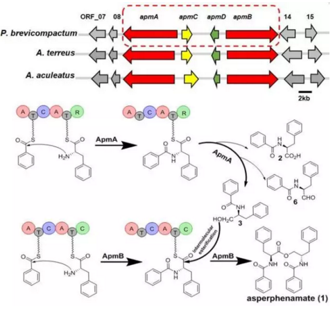 圖片關(guān)鍵詞 圖片關(guān)鍵詞