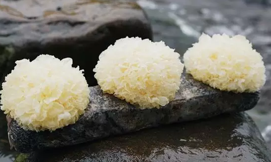 圖片關(guān)鍵詞 http://www.glass1234.com/ewebeditor/uploadfile/20180328092751720001.png