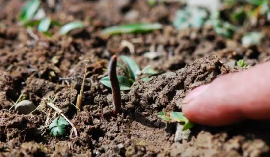 圖片關(guān)鍵詞 http://www.glass1234.com/ewebeditor/uploadfile/20180814102741148001.png