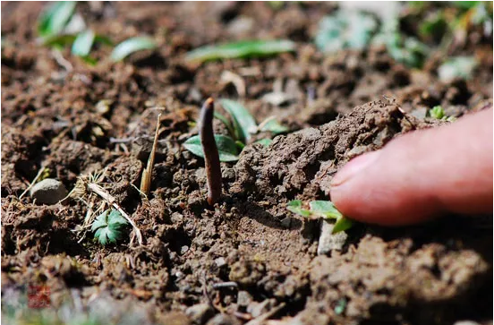 圖片關鍵詞 http://www.glass1234.com/ewebeditor/uploadfile/20180921101313325001.png