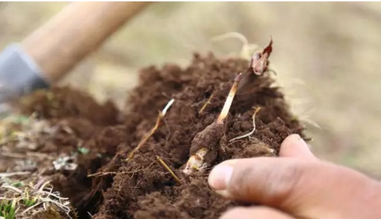 圖片關鍵詞 http://www.glass1234.com/ewebeditor/uploadfile/20180921101228689001.png