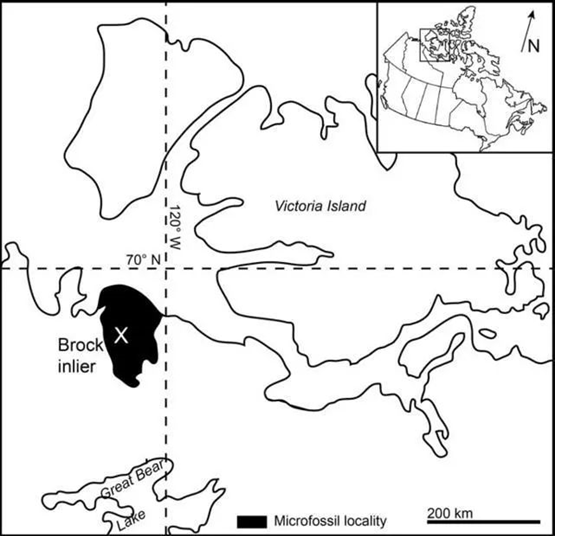 圖片關鍵詞 圖片關鍵詞