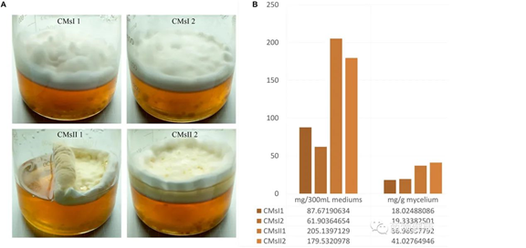 圖片關鍵詞 圖片關鍵詞