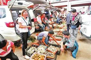 圖片關鍵詞 圖片關鍵詞