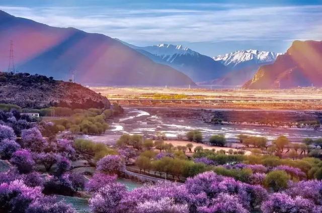 圖片關鍵詞 國家蘑菇地理:中國哪里的蘑菇最好吃?