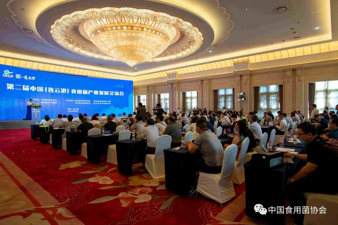 圖片關鍵詞 https://mmbiz.qpic.cn/mmbiz_jpg/qmUUOFzKOyRYEBXKnSHMvP5v7LsM30EklTo99rGqViayuSBI4wQq90FfEiaynjGFJIyOnBVXE5QEQSY6xHSgdt0w/640?wx_fmt=jpeg