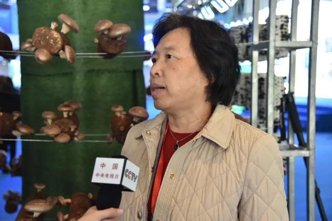 圖片關鍵詞 https://mmbiz.qpic.cn/mmbiz_jpg/tViaTicjwibVZmgEXXCALToc7mAB2rFo1LnET60QQahPyW0tj46wF2ZqHqncjDrWEBib03mNIyicVrUJW75puwgzoVg/640?wx_fmt=jpeg