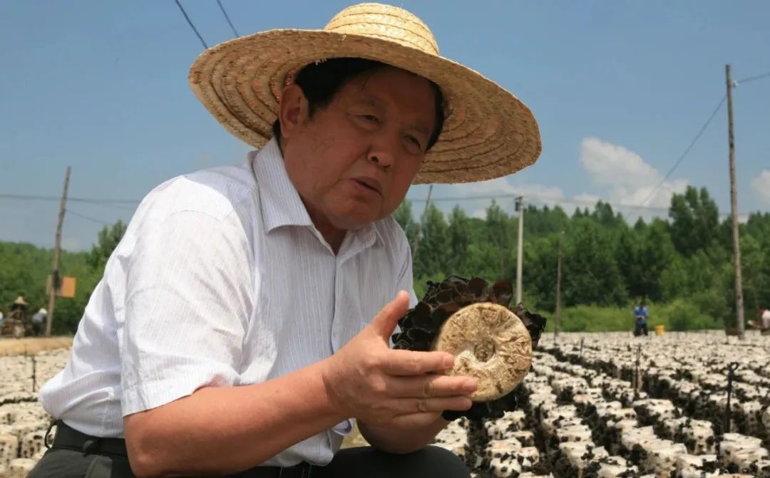 圖片關(guān)鍵詞 圖片