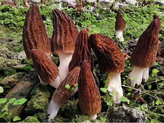 圖片關(guān)鍵詞 圖片