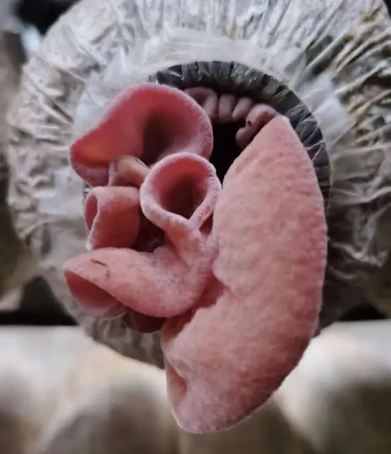 圖片關鍵詞 圖片關鍵詞