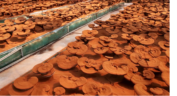 圖片關鍵詞 圖片關鍵詞