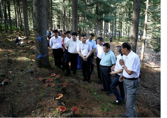 圖片關(guān)鍵詞 圖片關(guān)鍵詞