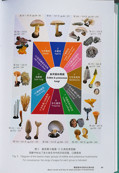 圖片關(guān)鍵詞 圖片關(guān)鍵詞