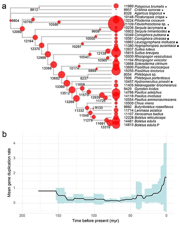 圖片關(guān)鍵詞 圖片
