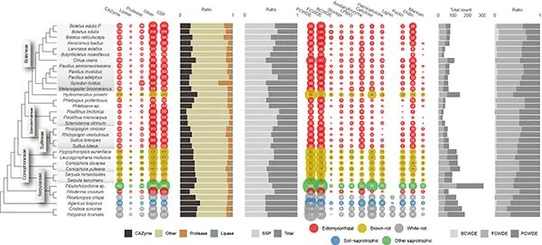 圖片關(guān)鍵詞 圖片