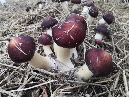 圖片關鍵詞 圖片