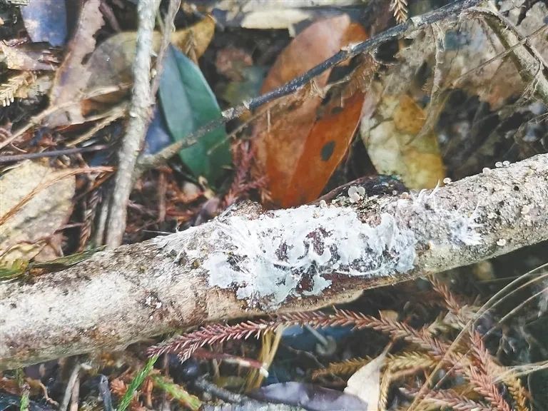 圖片關鍵詞 圖片關鍵詞