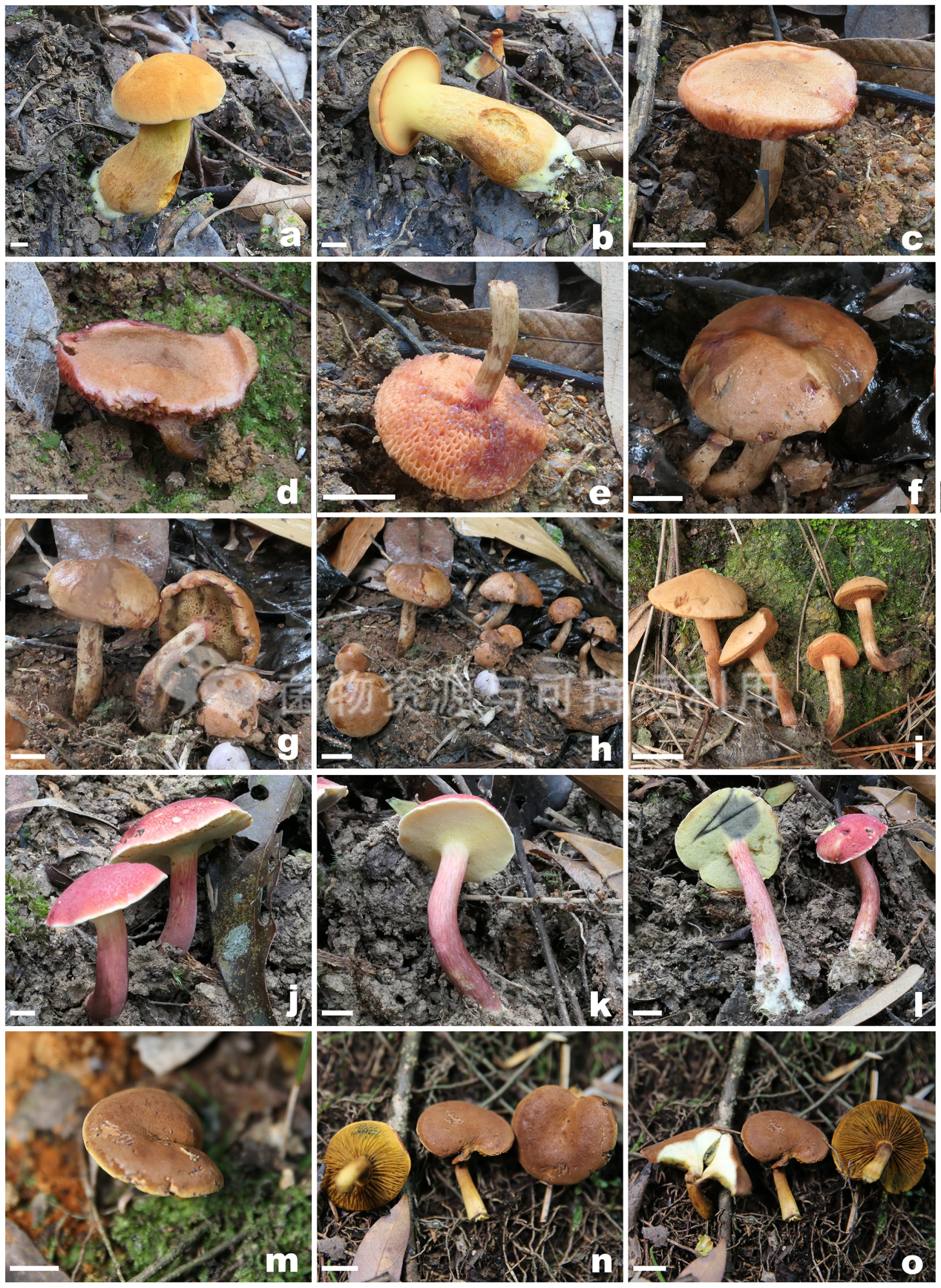 圖片關(guān)鍵詞 圖片關(guān)鍵詞